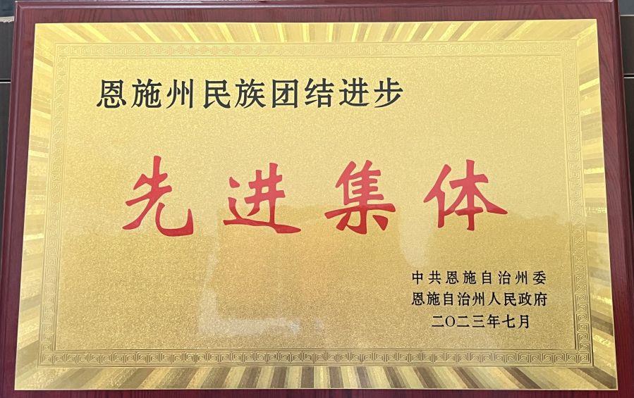 “恩施州民族團(tuán)結(jié)先進(jìn)集體”稱(chēng)號(hào)